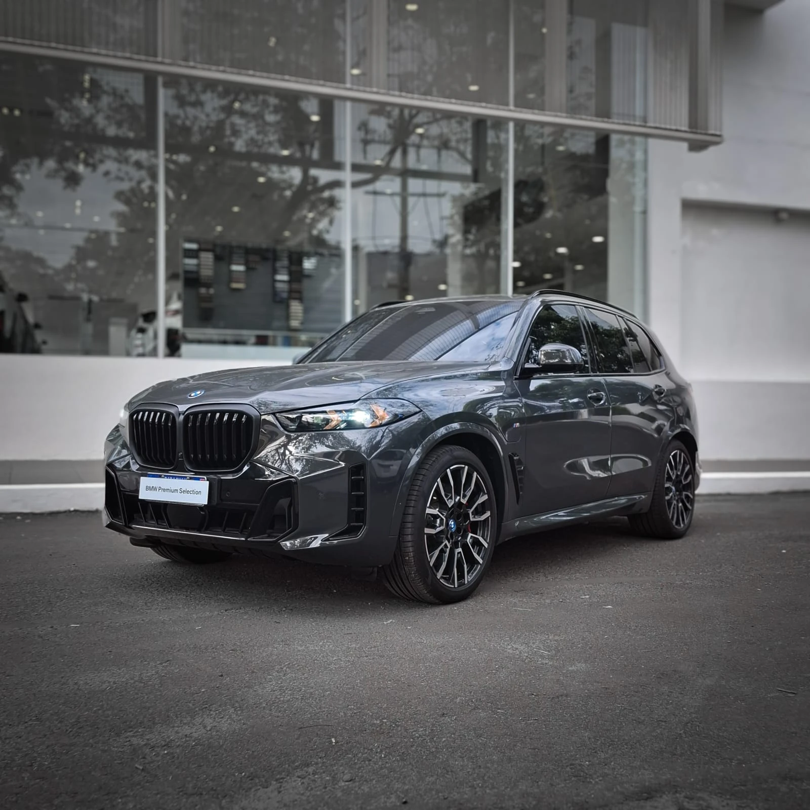 BMW X5 xDrive50e Look M Pro - 2024