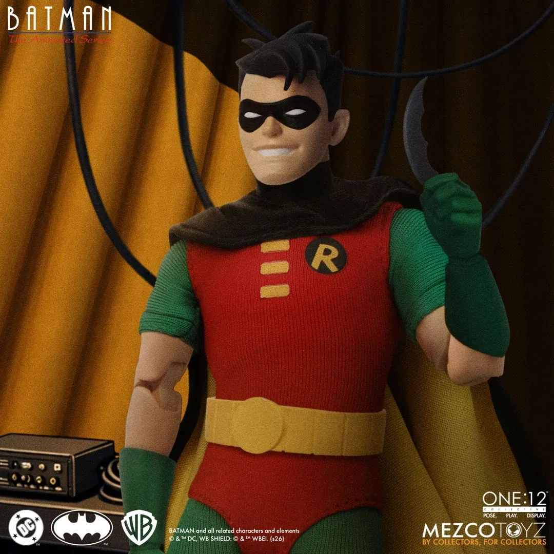 Robin: The Animated Series