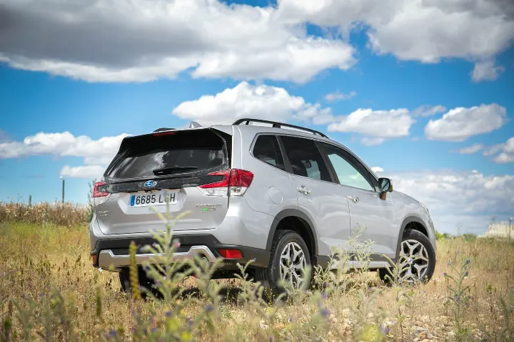 Subaru Forester — fotografía real de referencia 4