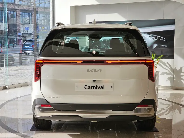 Kia Carnival — fotografía real de la unidad de referencia, vista 6