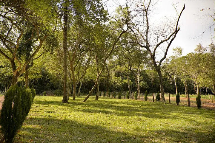 Terrenos en barrio cerrado – Areguá Forest – Desde 360 m²