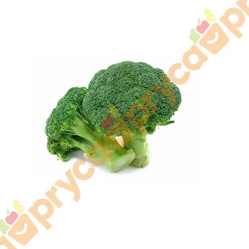 BROCOLI X UN