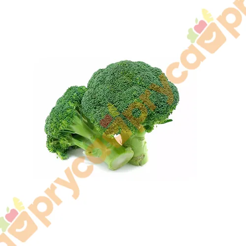 BROCOLI X UN