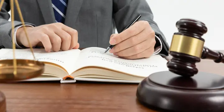 Licenciatura en Criminología y Seguridad