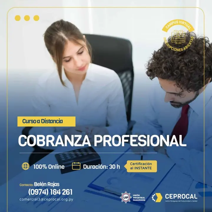 Cobranza Profesional