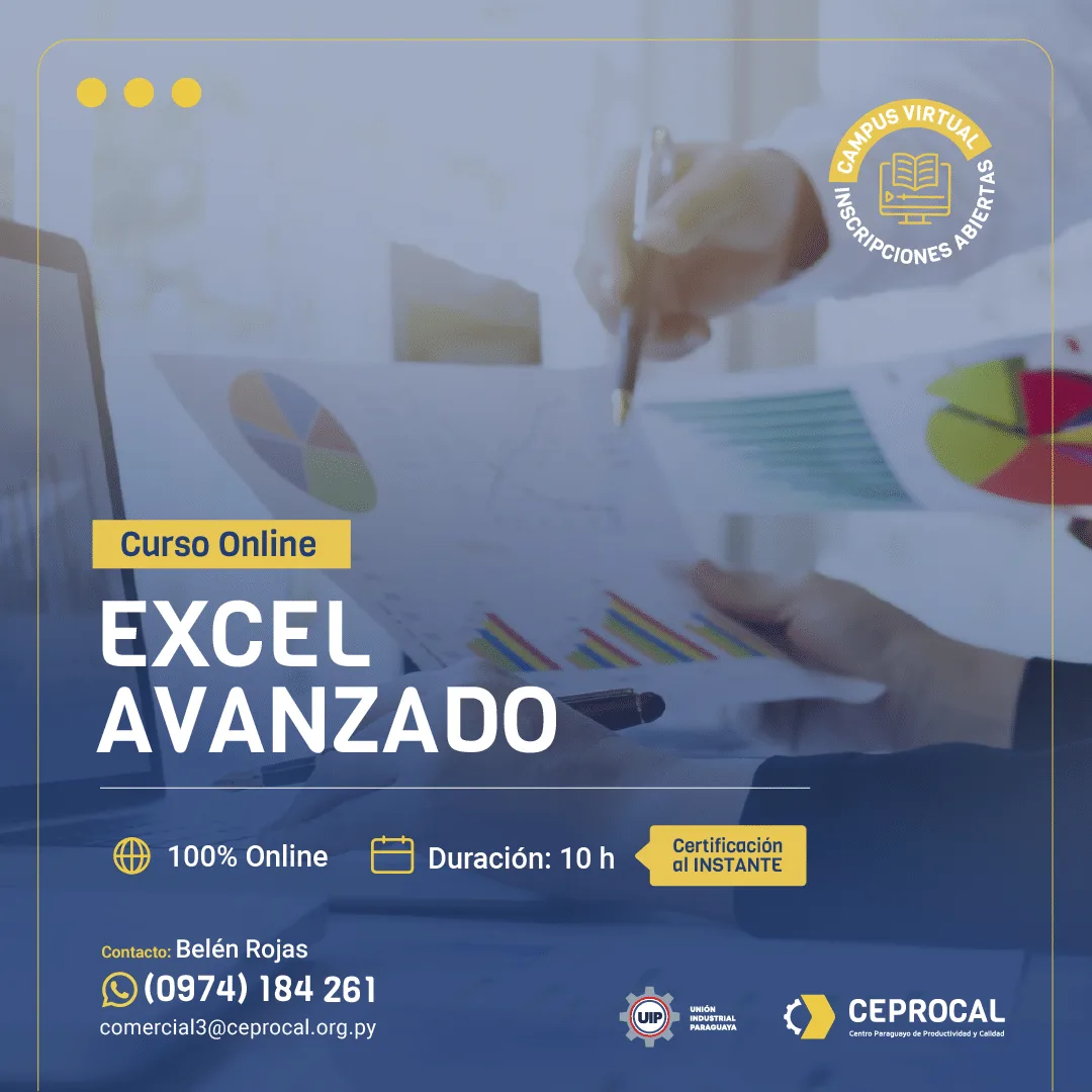 Excel Avanzado
