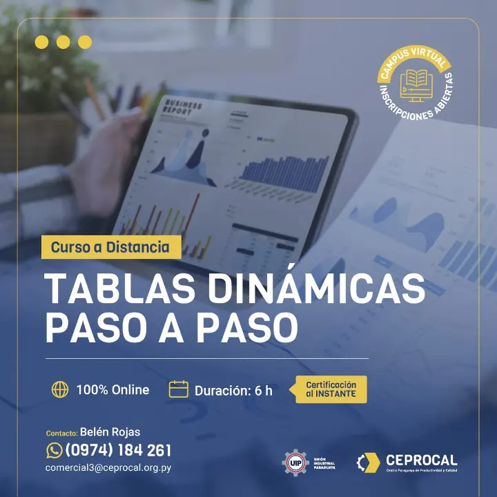 Tablas Dinámicas Paso a Paso