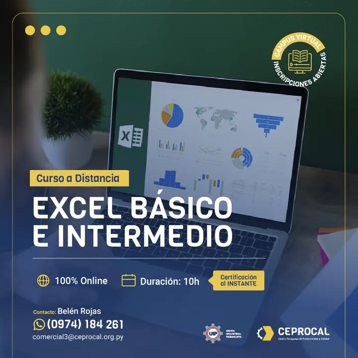 Excel Básico e Intermedio