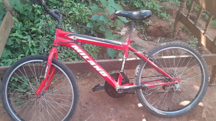Bici aro 24
