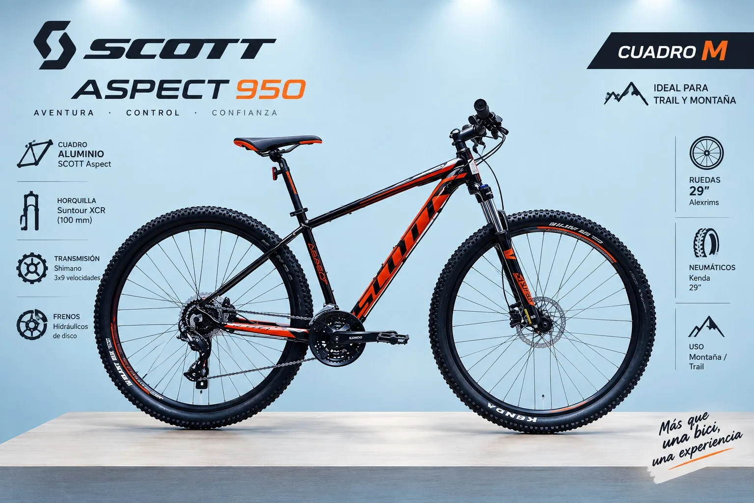 Bicicleta